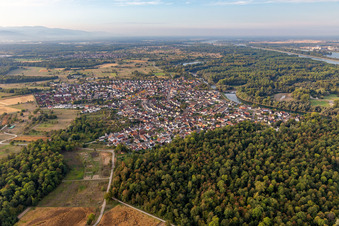 Village on the banks of the area Altrhein - river course in Plittersdorf in the state Baden-Wuerttemberg, Germany