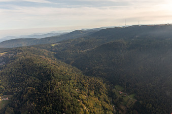 Ox stable in Sasbachwalden in the state Baden-Wuerttemberg, Germany
