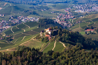 Markgraf von Baden Winery in Staufenberg Castle in the district Heimbach in Durbach in the state Baden-Wuerttemberg, Germany
