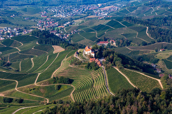 Aerial view of Castle winery and restaurant Schloss Staufenberg in Durbach in the state Baden-Wuerttemberg, Germany