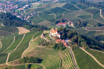 Aerial photograpy of Castle winery and restaurant Schloss Staufenberg in Durbach in the state Baden-Wuerttemberg, Germany