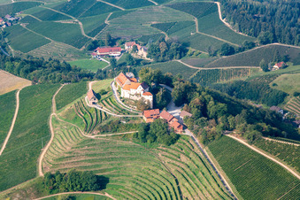 Aerial view of Markgraf von Baden Winery in Staufenberg Castle in the district Heimbach in Durbach in the state Baden-Wuerttemberg, Germany
