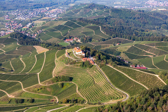 Aerial photograpy of Markgraf von Baden Winery in Staufenberg Castle in the district Heimbach in Durbach in the state Baden-Wuerttemberg, Germany