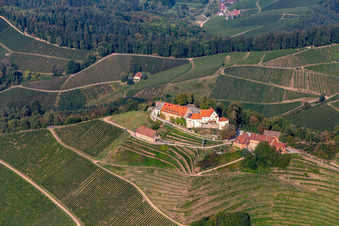 Oblique view of Castle winery and restaurant Schloss Staufenberg in Durbach in the state Baden-Wuerttemberg, Germany