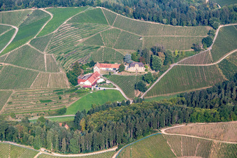 Winery and guest house Winzerhof on the edge of vineyards and in Durbach in the state Baden-Wuerttemberg, Germany