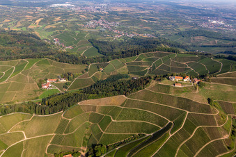 Winery and guest house Winzerhof and Castle of Schloss Staufenberg on the edge of vineyards and in Durbach in the state Baden-Wuerttemberg, Germany