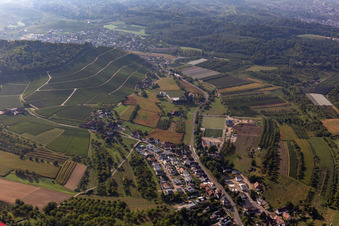 District Ebersweier in Durbach in the state Baden-Wuerttemberg, Germany from above