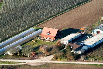 Zapf in Kandel in the state Rhineland-Palatinate, Germany