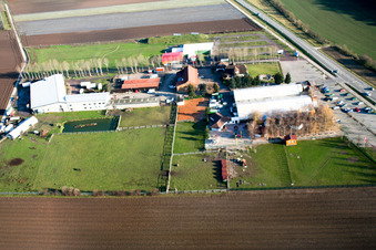Adamshof in Kandel in the state Rhineland-Palatinate, Germany