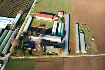 Nauerth Tobacco in Kandel in the state Rhineland-Palatinate, Germany