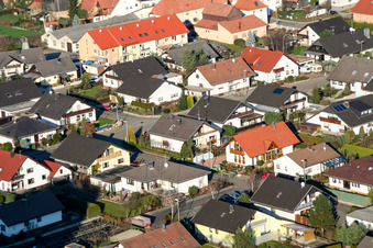 In the birch meadows in Hatzenbühl in the state Rhineland-Palatinate, Germany