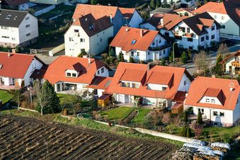 In the Horst in Hatzenbühl in the state Rhineland-Palatinate, Germany