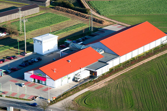 Minimal in Rheinzabern in the state Rhineland-Palatinate, Germany