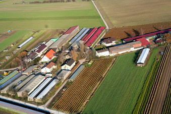 Ohmerhof resettler farm in Rheinzabern in the state Rhineland-Palatinate, Germany