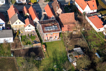 Gänsried in Freckenfeld in the state Rhineland-Palatinate, Germany