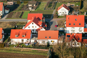 Rabbit catching in Freckenfeld in the state Rhineland-Palatinate, Germany