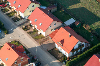 In the farm fields in the district Kleinsteinfeld in Niederotterbach in the state Rhineland-Palatinate, Germany