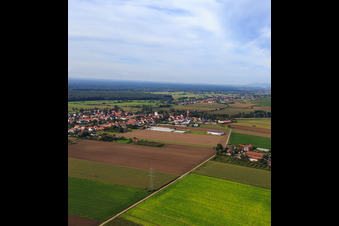 Village view from the northeast in Minfeld in the state Rhineland-Palatinate, Germany