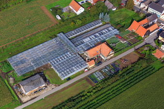 Aerial view of Nursery on Grasweg in Winden in the state Rhineland-Palatinate, Germany