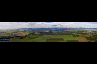 Panorama Horbachtal and Hardt in the district Ingenheim in Billigheim-Ingenheim in the state Rhineland-Palatinate, Germany