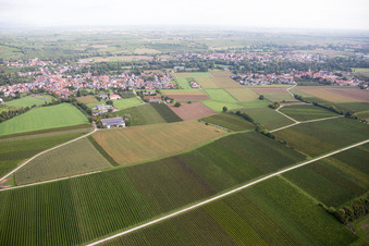 Aerial photograpy of District Ingenheim in Billigheim-Ingenheim in the state Rhineland-Palatinate, Germany