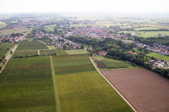 District Ingenheim in Billigheim-Ingenheim in the state Rhineland-Palatinate, Germany out of the air