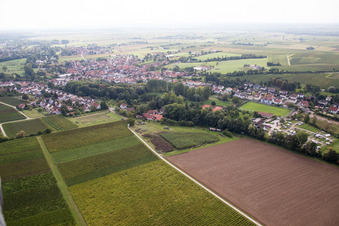District Ingenheim in Billigheim-Ingenheim in the state Rhineland-Palatinate, Germany seen from above