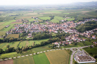 Oblique view of District Appenhofen in Billigheim-Ingenheim in the state Rhineland-Palatinate, Germany