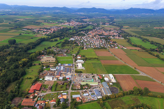 Industrial estate Industriestraße from the east in Billigheim-Ingenheim in the state Rhineland-Palatinate, Germany