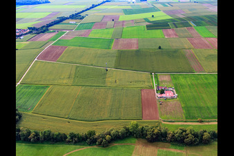 Rosenhof in Steinweiler in the state Rhineland-Palatinate, Germany