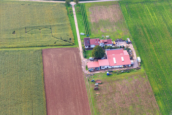 Aerial view of Rosenhof in Steinweiler in the state Rhineland-Palatinate, Germany
