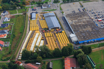 Engel & Engel GmbH | Trade in commercial vehicles, forklifts and construction machinery and Real in the Südpfalz Center in Rohrbach in the state Rhineland-Palatinate, Germany