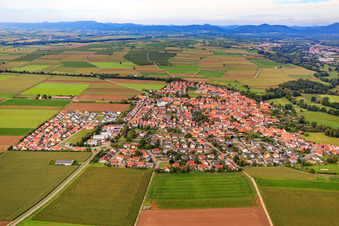 Overview of the town from the east in Steinweiler in the state Rhineland-Palatinate, Germany