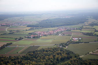 From the southwest in Erlenbach bei Kandel in the state Rhineland-Palatinate, Germany