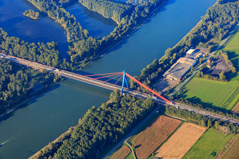 Pylon bridge for the A61 motorway over the Rhine in Hockenheim in the state Baden-Wuerttemberg, Germany