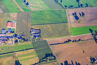 Zahn Riding Stable and Hockenheim Corn Maze in Hockenheim in the state Baden-Wuerttemberg, Germany
