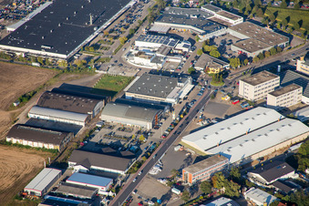 Aldi, Görtz, DM in Brühl in the state Baden-Wuerttemberg, Germany