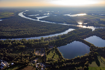 Ketscher Rheininsel and Altrhein nature reserve in Ketsch in the state Baden-Wuerttemberg, Germany
