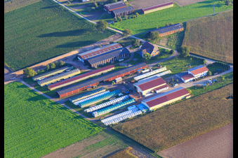 Markus Fischer Agricultural Company in Hördt in the state Rhineland-Palatinate, Germany