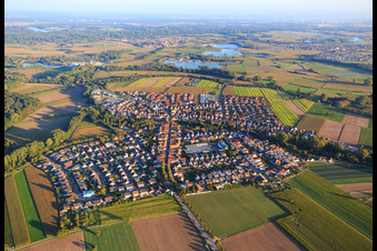 Rülzheimer Straße from the northwest in Kuhardt in the state Rhineland-Palatinate, Germany