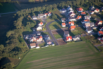 Flower ring in the district Hardtwald in Neupotz in the state Rhineland-Palatinate, Germany