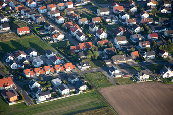 Oblique view of Flower ring in the district Hardtwald in Neupotz in the state Rhineland-Palatinate, Germany