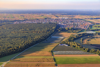 Fruit plantations by Leo Zirker in Rülzheim in the state Rhineland-Palatinate, Germany