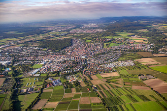 From the south in Wiesloch in the state Baden-Wuerttemberg, Germany