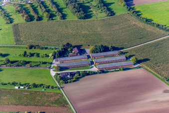 Dairy plant and animal breeding stables with cows in Wiesloch in the state Baden-Wurttemberg, Germany
