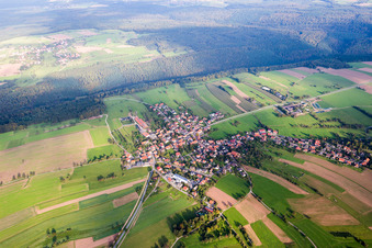 Waldbrunn/Schollbrunn