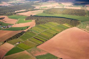 Aerial photograpy of District Reicholzheim in Wertheim in the state Baden-Wuerttemberg, Germany