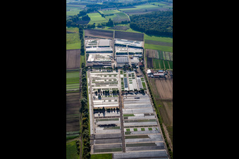 Building of Store plant market Dieter Denzer in Gochsheim in the state Bavaria, Germany
