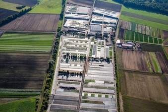 Aerial view of Dieter Denze Nursery in Gochsheim in the state Bavaria, Germany