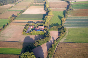 Leistenmühle from the west in Erlenbach bei Kandel in the state Rhineland-Palatinate, Germany